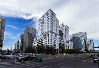 博罗大砖瓷砖胶价格