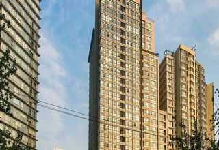 调经养颜鹿胎胶囊哪家好