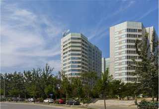 辅导科技项目大概费用